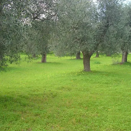 Lägenhet Dal Cavallaro *