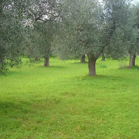 Apartment Dal Cavallaro *