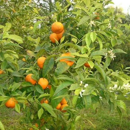 Апартаменты Dal Cavallaro *