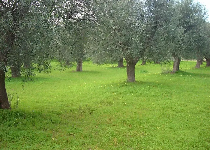 아파트 Dal Cavallaro *