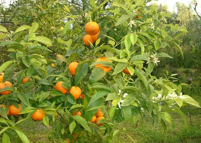 아파트 Dal Cavallaro *